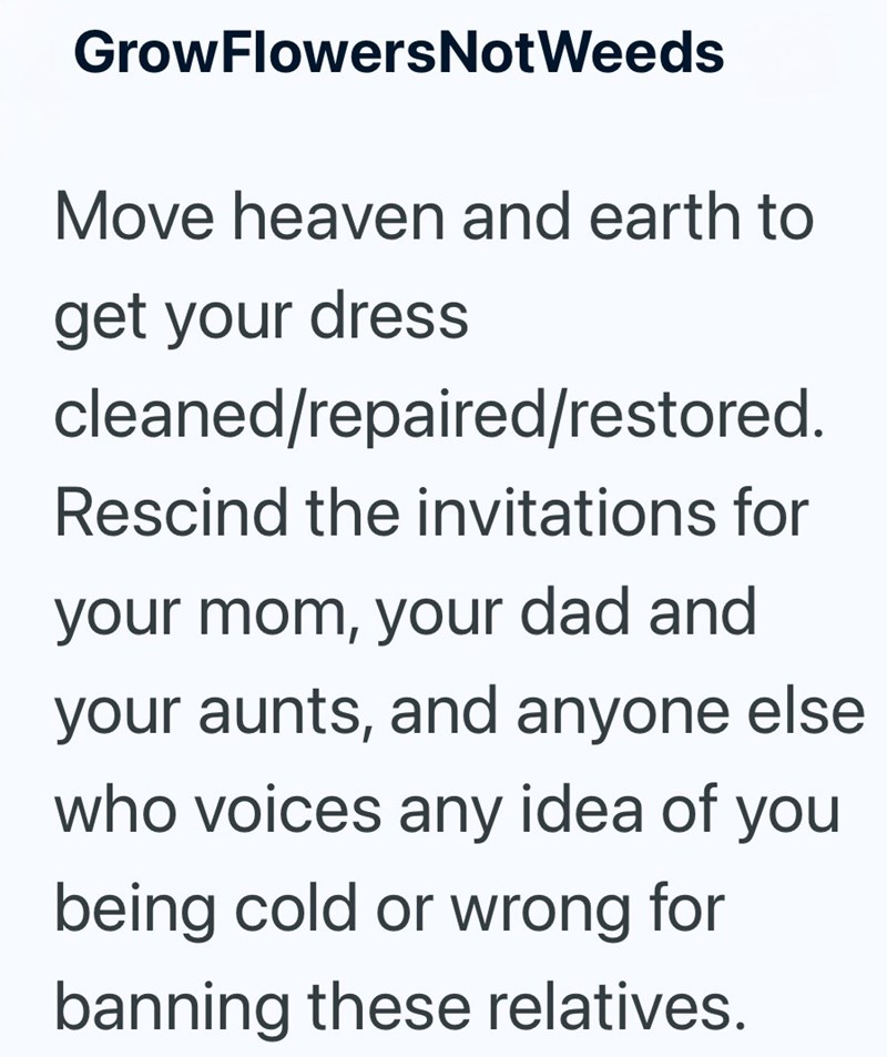 GrowFlowersNotWeeds Move heaven and earth to get your dress cleaned/repaired/restored. Rescind the invitations for your mom, your dad and your aunts, and anyone else who voices any idea of you being cold or wrong for banning these relatives.
