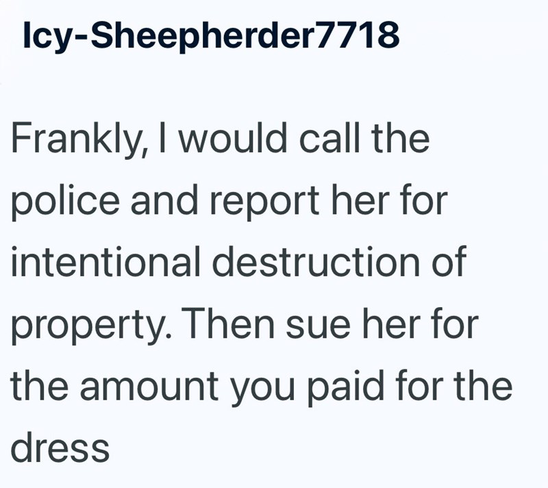 Icy-Sheepherder7718 Frankly, I would call the police and report her for intentional destruction of property. Then sue her for the amount you paid for the dress