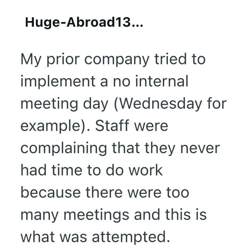 Huge-Abroad13... My prior company tried to implement a no internal meeting day (Wednesday for example). Staff were complaining that they never had time to do work because there were too many meetings and this is what was attempted.