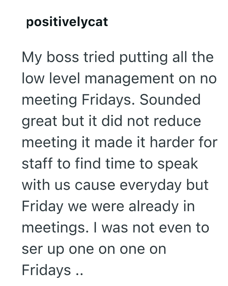 positivelycat My boss tried putting all the low level management on no meeting Fridays. Sounded great but it did not reduce meeting it made it harder for staff to find time to speak with us cause everyday but Friday we were already in meetings. I was not even to ser up one on one on Fridays ..