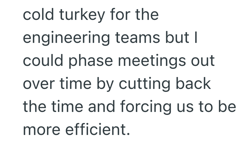 cold turkey for the engineering teams but I could phase meetings out over time by cutting back the time and forcing us to be more efficient.