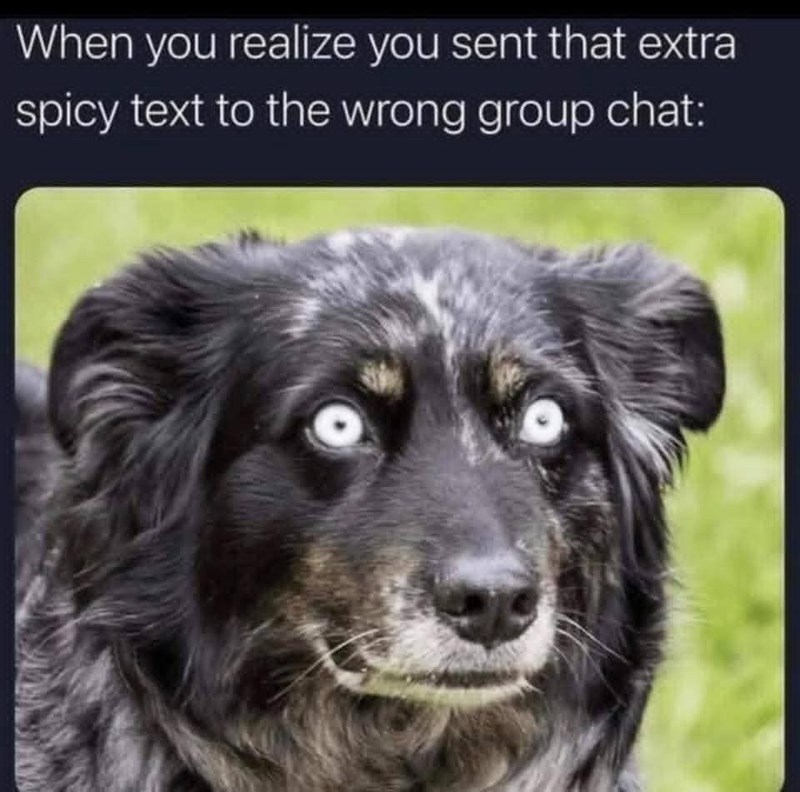 When you realize you sent that extra spicy text to the wrong group chat:
