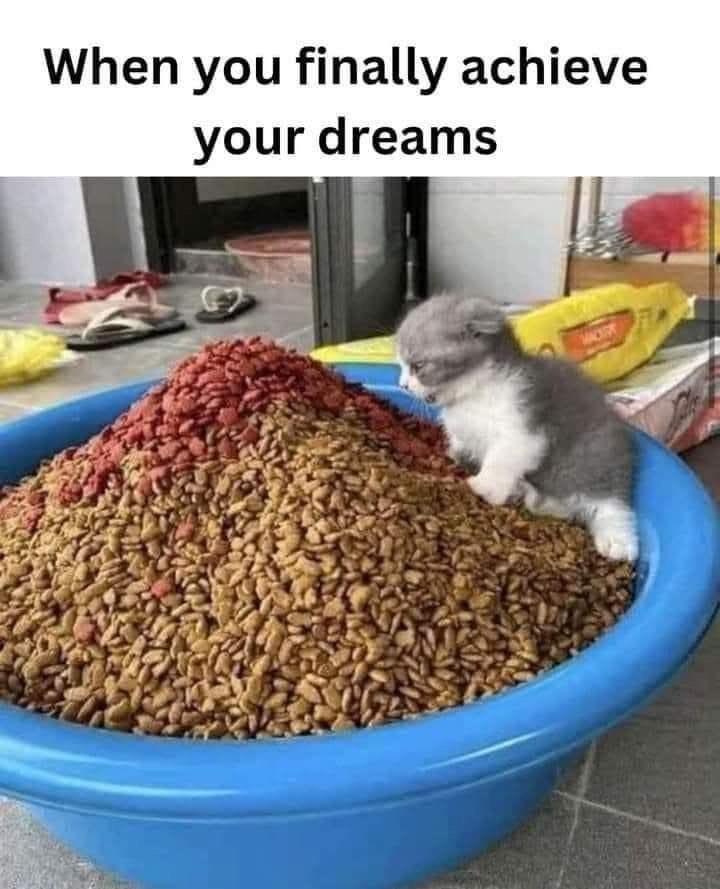 When you finally achieve your dreams