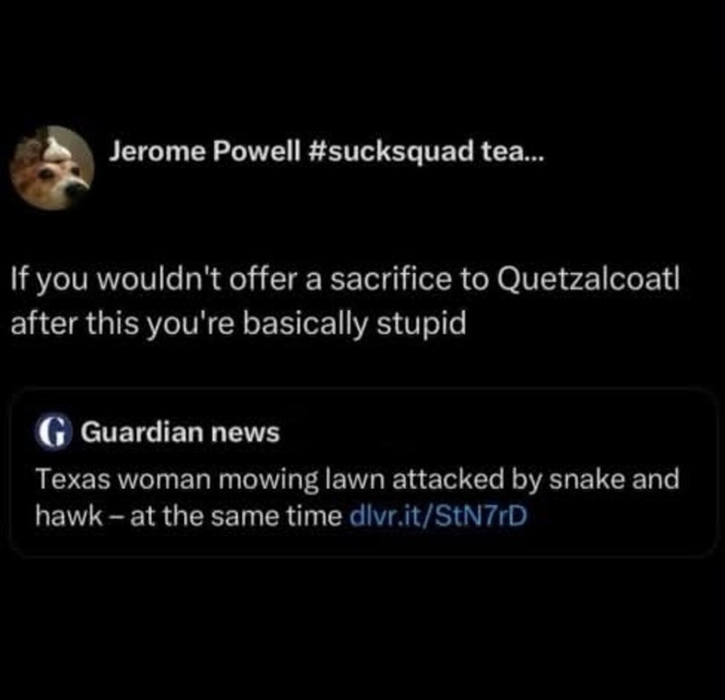 Jerome Powell #sucksquad tea... If you wouldn't offer a sacrifice to Quetzalcoatl after this you're basically stupid G Guardian news Texas woman mowing lawn attacked by snake and hawk-at the same time dlvr.it/StN7rD