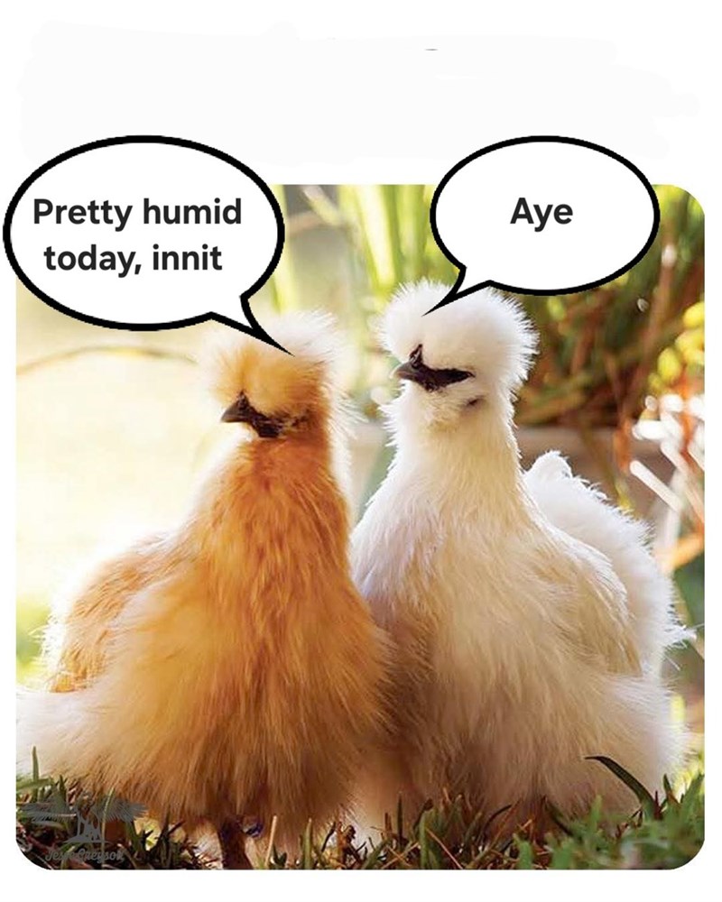 Pretty humid today, innit Preso Aye