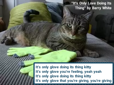 Cheezburger Image 10625976576