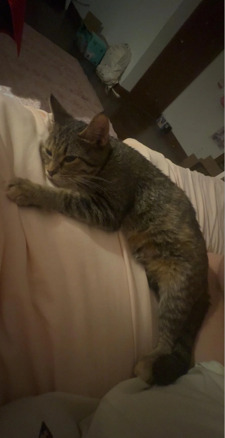 Cheezburger Image 10625994752