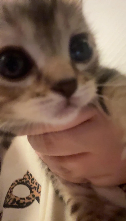 Cheezburger Image 10625995008