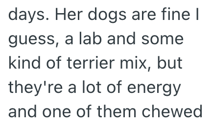 days. Her dogs are fine I guess, a lab and some kind of terrier mix, but they're a lot of energy and one of them chewed