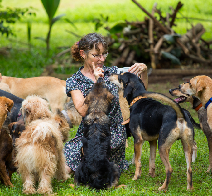 Woman with multiple dogs in a training session. 