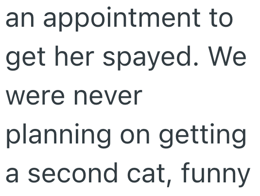 an appointment to get her spayed. We were never planning on getting a second cat, funny