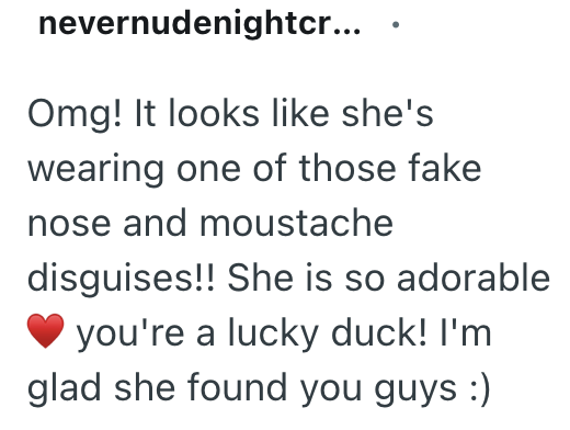 nevernudenightcr... Omg! It looks like she's wearing one of those fake nose and moustache disguises!! She is so adorable you're a lucky duck! I'm glad she found you guys :)