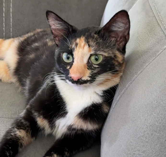 Cheezburger Image 10626013184