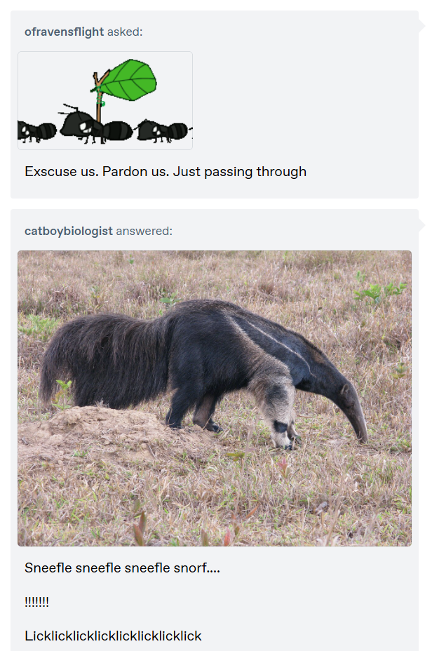 ofravensflight asked: Exscuse us. Pardon us. Just passing through catboybiologist answered: Sneefle sneefle sneefle snorf.... Licklicklicklicklicklicklicklick