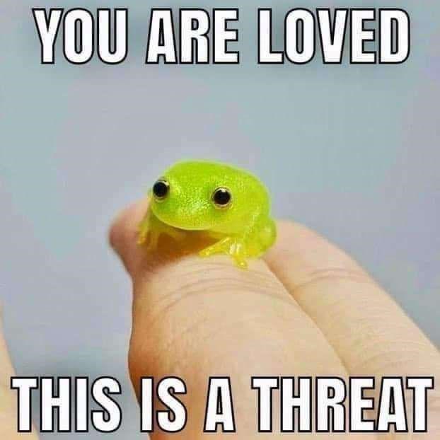YOU ARE LOVED THIS IS A THREAT