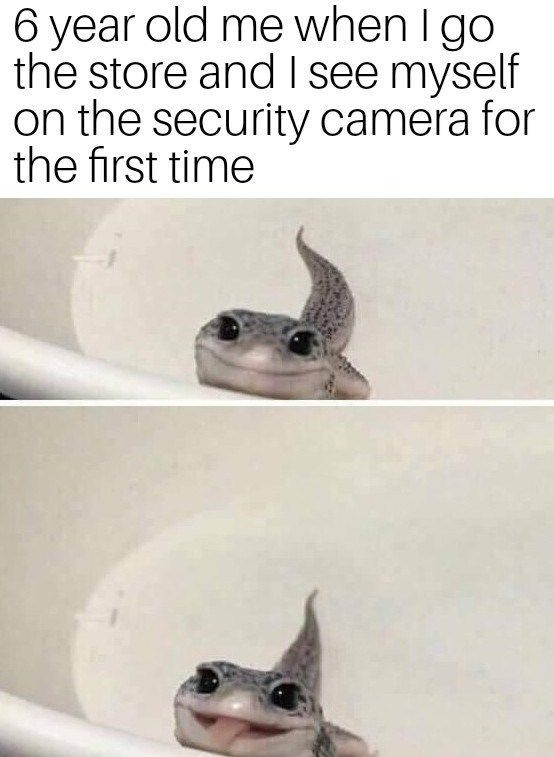 6 year old me when I go the store and I see myself on the security camera for the first time