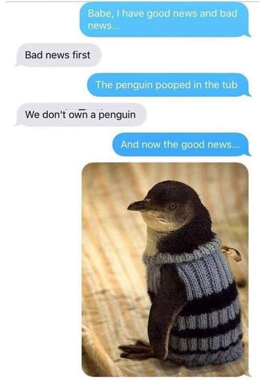 Babe, I have good news and bad news... Bad news first The penguin pooped in the tub We don't own a penguin And now the good news...