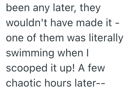 been any later, they wouldn't have made it - one of them was literally swimming when I scooped it up! A few chaotic hours later--
