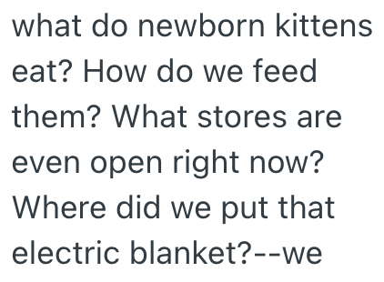 what do newborn kittens eat? How do we feed them? What stores are even open right now? Where did we put that electric blanket?--we