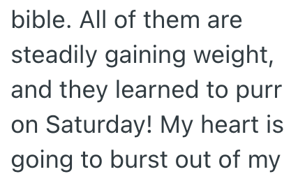 bible. All of them are steadily gaining weight, and they learned to purr on Saturday! My heart is going to burst out of my