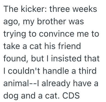 The kicker: three weeks ago, my brother was trying to convince me to take a cat his friend found, but I insisted that I couldn't handle a third animal--I already have a dog and a cat. CDS