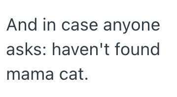 And in case anyone asks: haven't found mama cat.