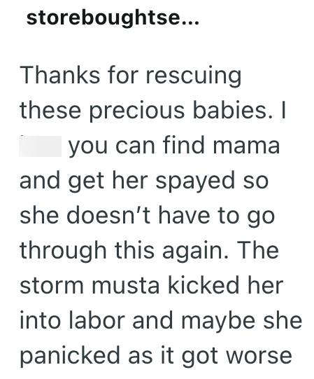 storeboughtse... Thanks for rescuing these precious babies. I you can find mama and get her spayed so she doesn't have to go through this again. The storm musta kicked her into labor and maybe she panicked as it got worse