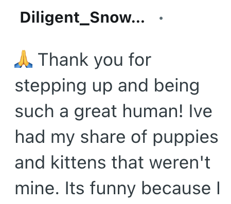 Diligent Snow... Thank you for stepping up and being such a great human! Ive had my share of puppies and kittens that weren't mine. Its funny because I