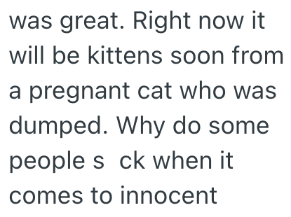 was great. Right now it will be kittens soon from a pregnant cat who was dumped. Why do some people s ck when it comes to innocent
