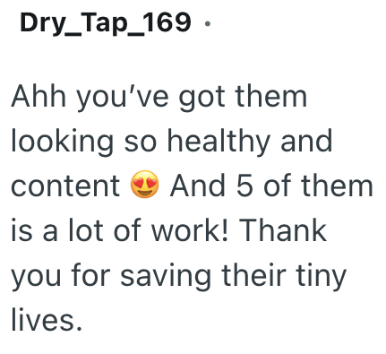 Dry_Tap_169. Ahh you've got them looking so healthy and content And 5 of them is a lot of work! Thank you for saving their tiny lives.