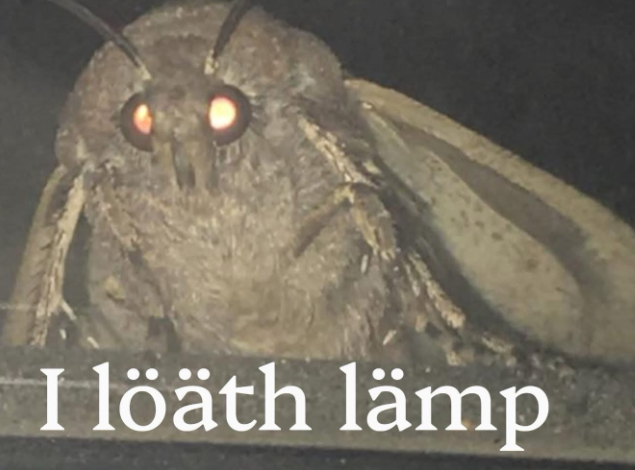 Ilöäth lämp