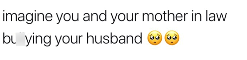 imagine you and your mother in law bullying your husband