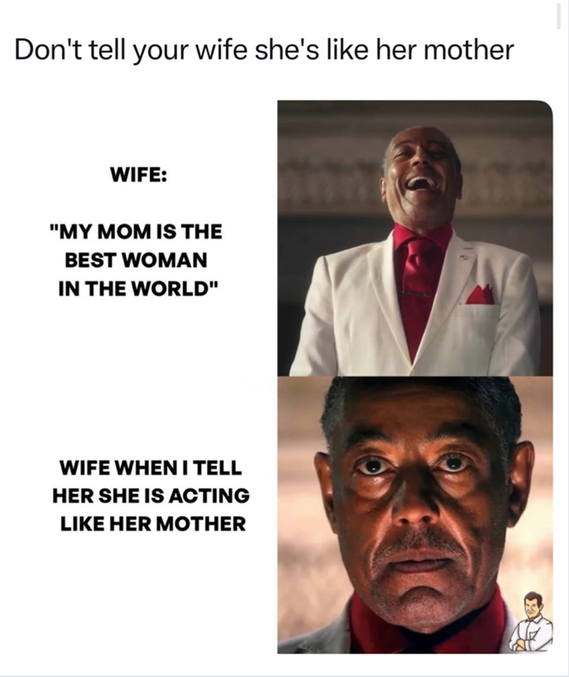 Don't tell your wife she's like her mother WIFE: "MY MOM IS THE BEST WOMAN IN THE WORLD" WIFE WHEN I TELL HER SHE IS ACTING LIKE HER MOTHER