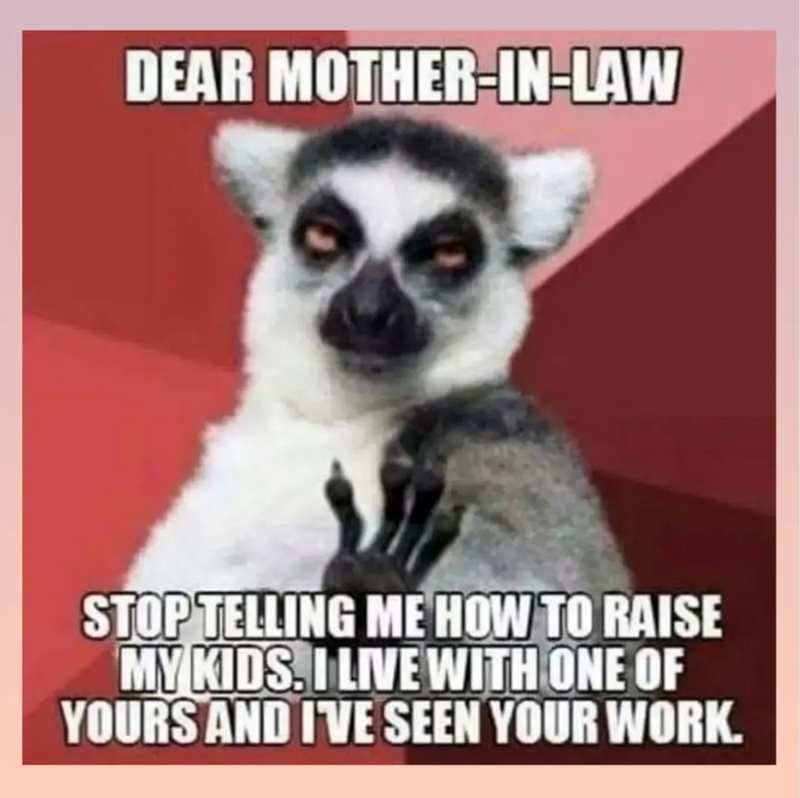 DEAR MOTHER-IN-LAW STOP TELLING ME HOW TO RAISE MY KIDS. I LIVE WITH ONE OF YOURS AND I'VE SEEN YOUR WORK.