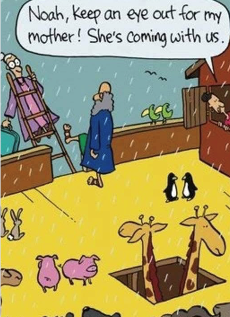 踏 Noah, keep an eye out for my mother ! She's coming with us.