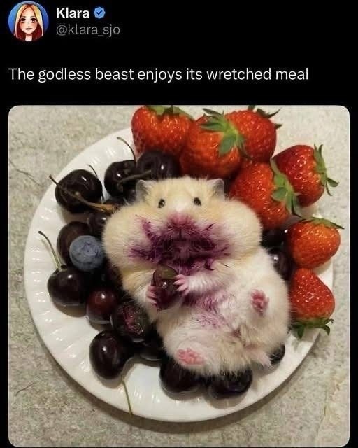 Klara @klara_sjo The godless beast enjoys its wretched meal