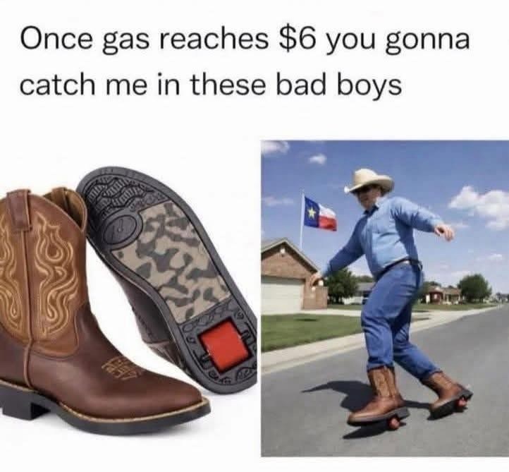 Once gas reaches $6 you gonna catch me in these bad boys 保用