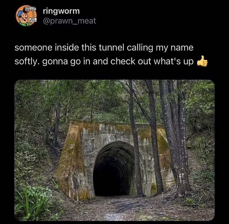 ringworm @prawn_meat someone inside this tunnel calling my name softly. gonna go in and check out what's up 1923