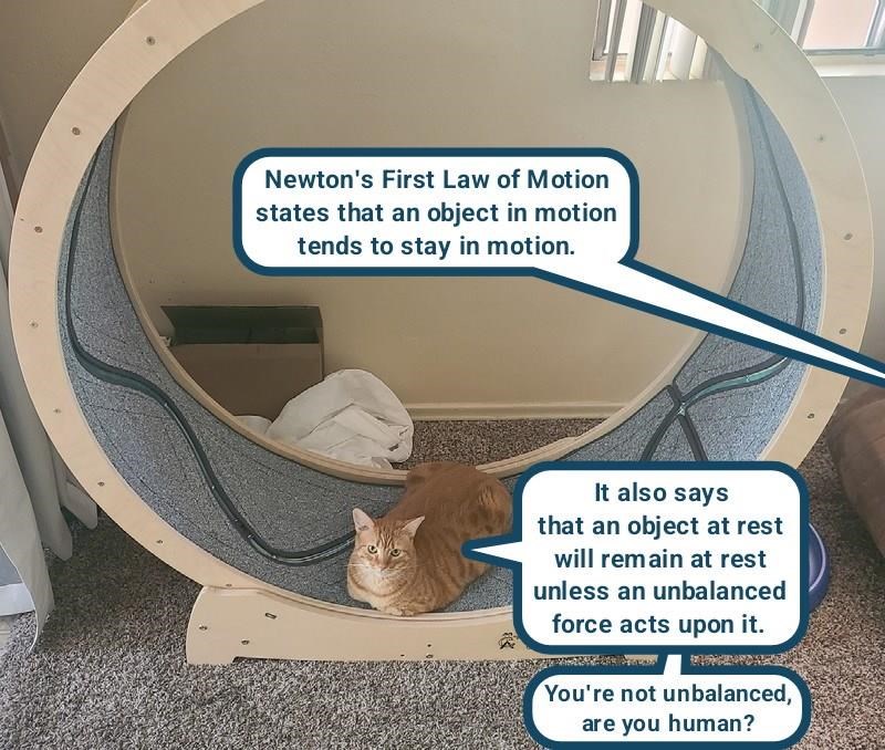 Cheezburger Image 10626058496