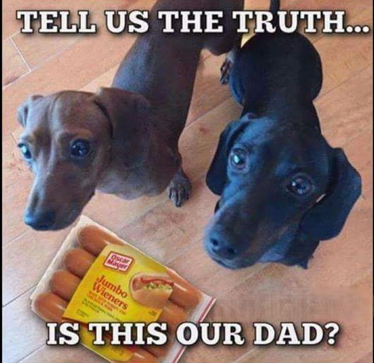 TELL US THE TRUTH... Oscar Mayer Jumbo Wieners IS THIS OUR DAD?