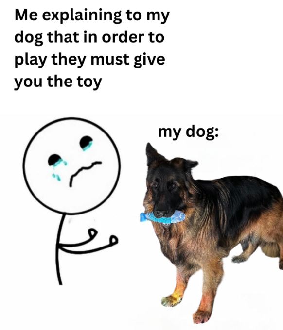 Me explaining to my dog that in order to play they must give you the toy my dog: