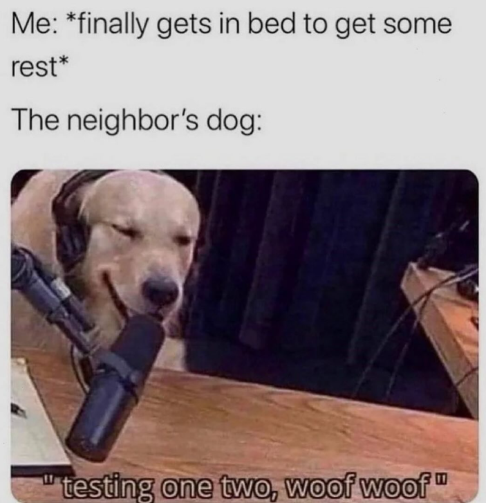 Me: *finally gets in bed to get some rest* The neighbor's dog: testing one two, woof woof"