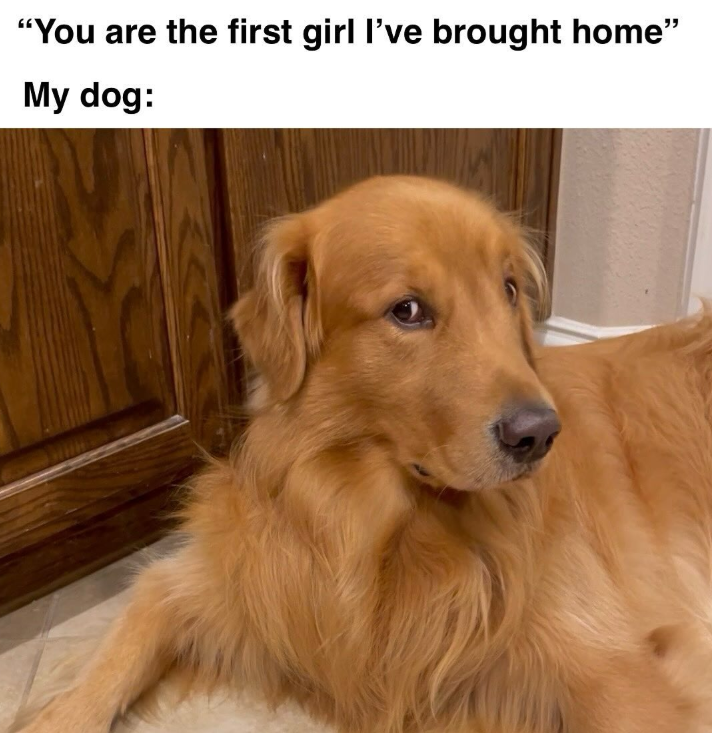 "You are the first girl I've brought home" My dog: