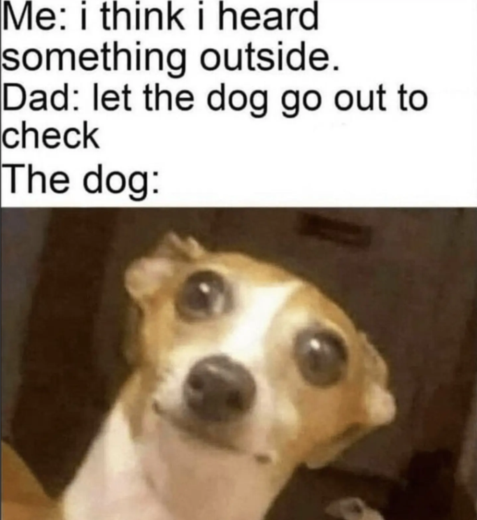 Me: i think i heard something outside. Dad: let the dog go out to check The dog: