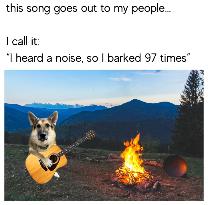 this song goes out to my people... I call it: "I heard a noise, so I barked 97 times"