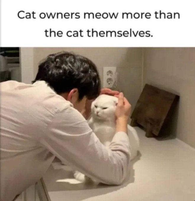 Cat owners meow more than the cat themselves.