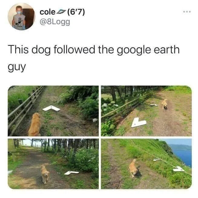 cole (6'7) @8Logg This dog followed the google earth guy