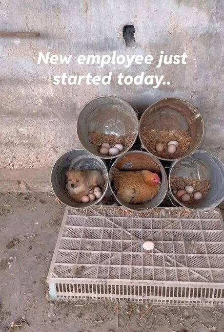 New employee just started today..