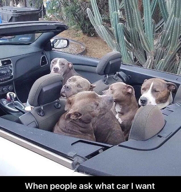 When people ask what car I want