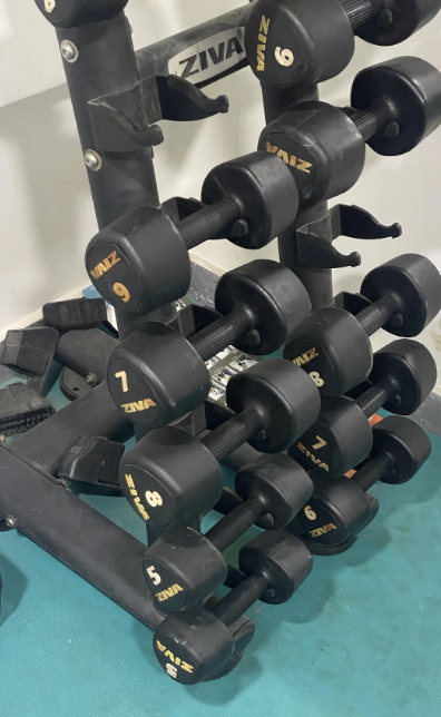 ZIVA ZIVA ZIVA ZIVA 7 ZIVA I ZIV 5 ZINA 7 VIVA AIZ ZIVA